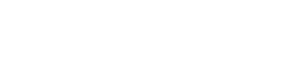 VN_Logo